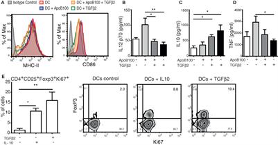 Activation of the Regulatory T-Cell/Indoleamine 2,3-Dioxygenase Axis Reduces Vascular Inflammation and Atherosclerosis in Hyperlipidemic Mice